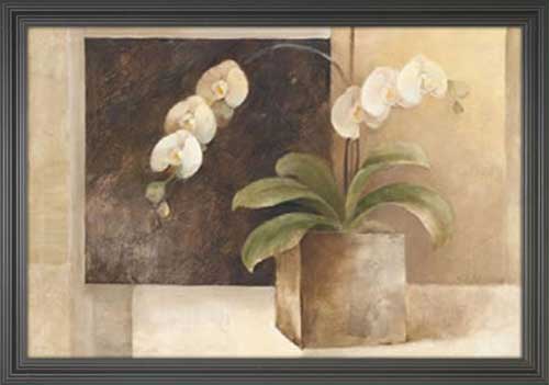 Contemporary Orchid